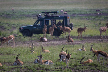 Hotel Elewana Sand River Masai Mara Maasai Mara Exterior foto